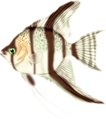 akvariumi_halak_910.png