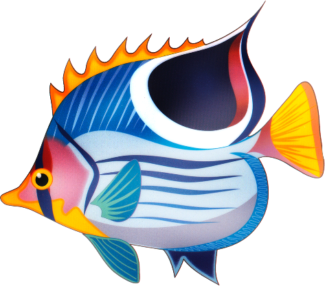 akvariumi_halak_911.png