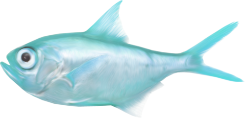 akvariumi_halak_917.png