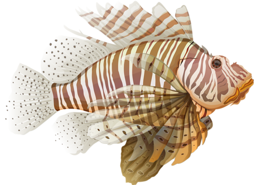 akvariumi_halak_918.png