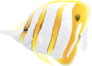 akvariumi_halak_920.png