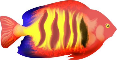 akvariumi_halak_932.png
