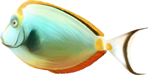 akvariumi_halak_941.png