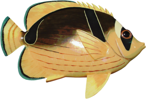 akvariumi_halak_945.png