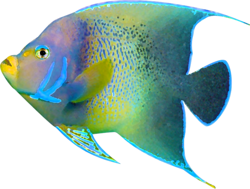 akvariumi_halak_950.png