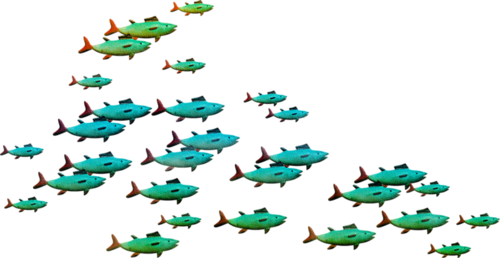 akvariumi_halak_951.png