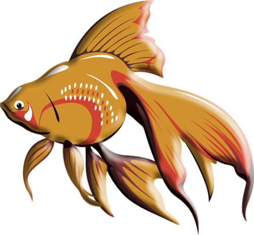 akvariumi_halak_954.png