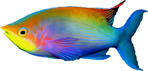 akvariumi_halak_958.png