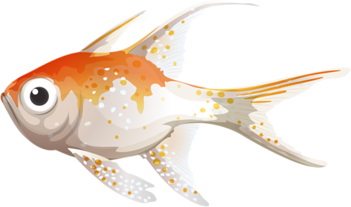 akvariumi_halak_963.png