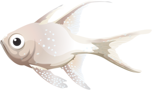 akvariumi_halak_964.png