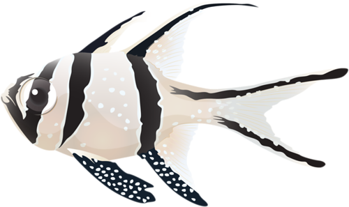 akvariumi_halak_965.png