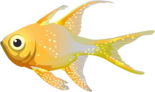 akvariumi_halak_966.png