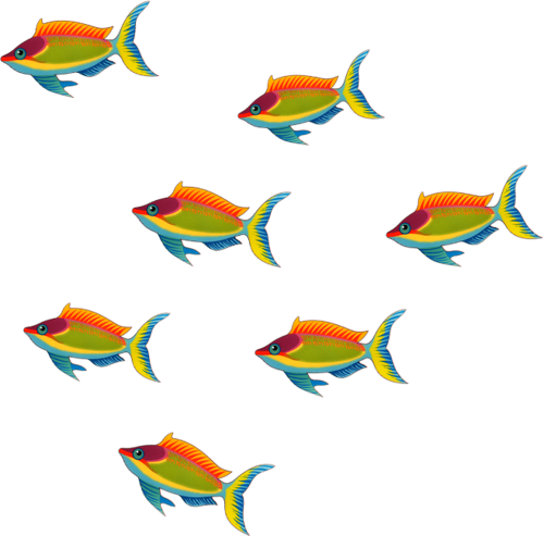 akvariumi_halak_969.png