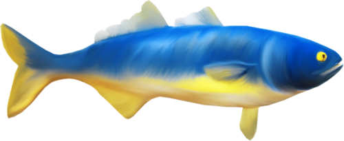 akvariumi_halak_976.png