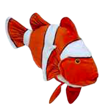 akvariumi_halak_982.png