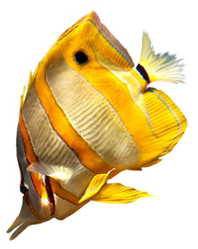 akvariumi_halak_984.png