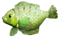 akvariumi_halak_1108