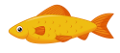 akvariumi_halak_1178