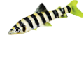 akvariumi_halak_233
