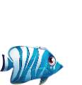 akvariumi_halak_4