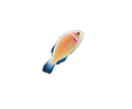 akvariumi_halak_775