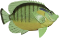 akvariumi_halak_931