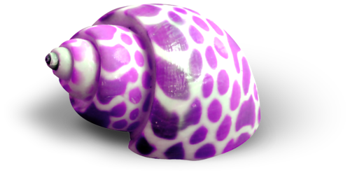 csiga_299.png