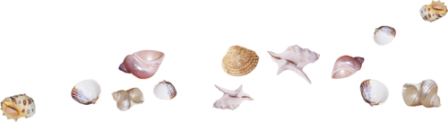 csiga_64.png