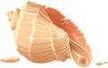 csiga_156