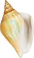csiga_271