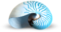 csiga_297