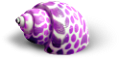 csiga_299