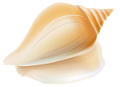csiga_3