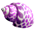 csiga_300