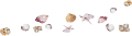 csiga_64