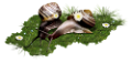 csiga_77