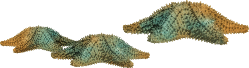 csillag_108.png