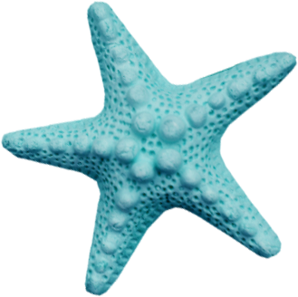 csillag_110.png