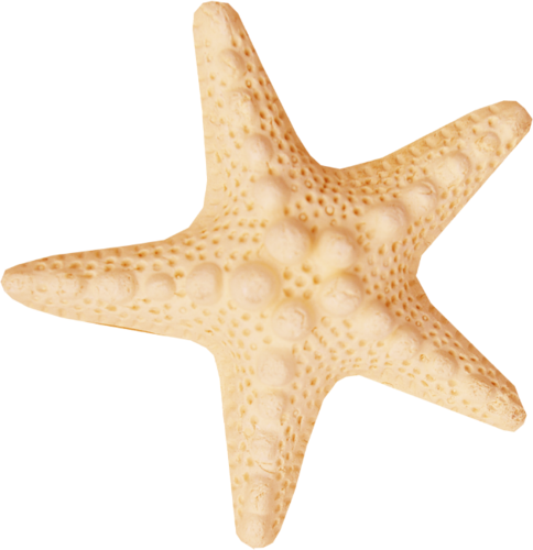 csillag_115.png