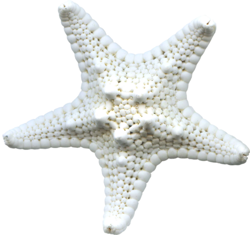 csillag_118.png