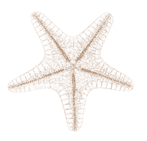 csillag_145.png