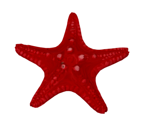 csillag_157.png