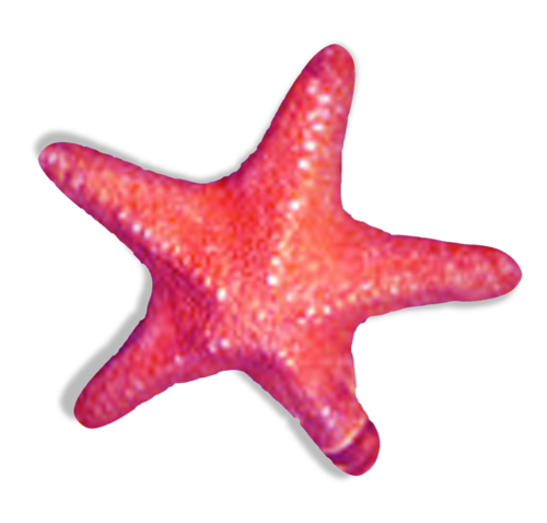 csillag_160.png