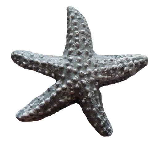 csillag_166.png