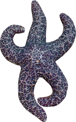 csillag_174.png