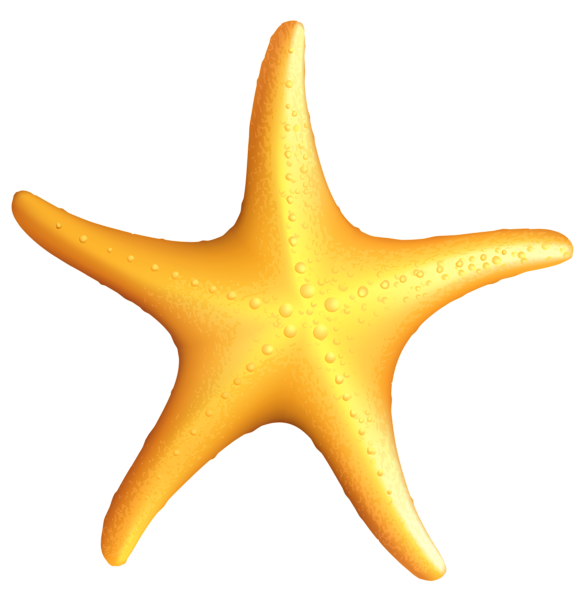 csillag_2.png