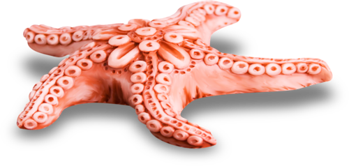 csillag_20.png
