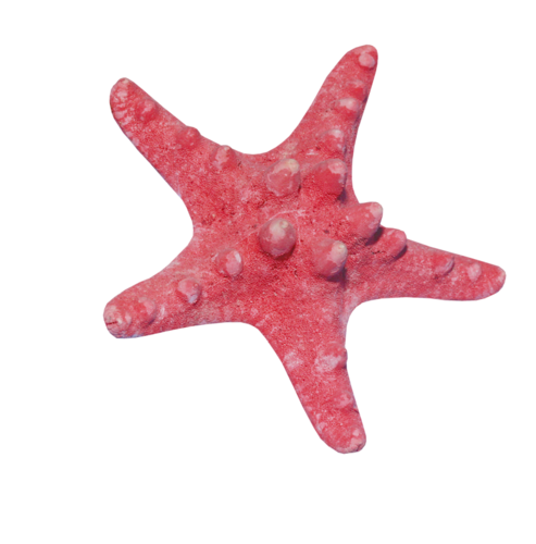 csillag_29.png