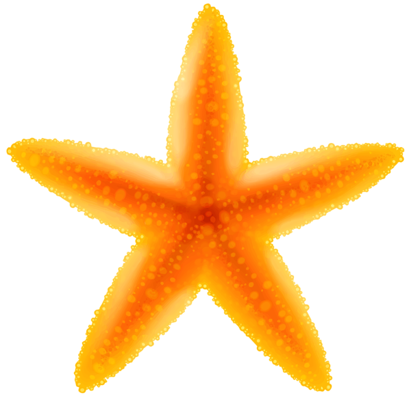 csillag_3.png