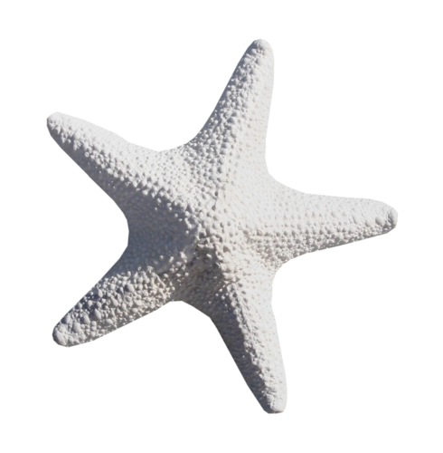 csillag_33.png